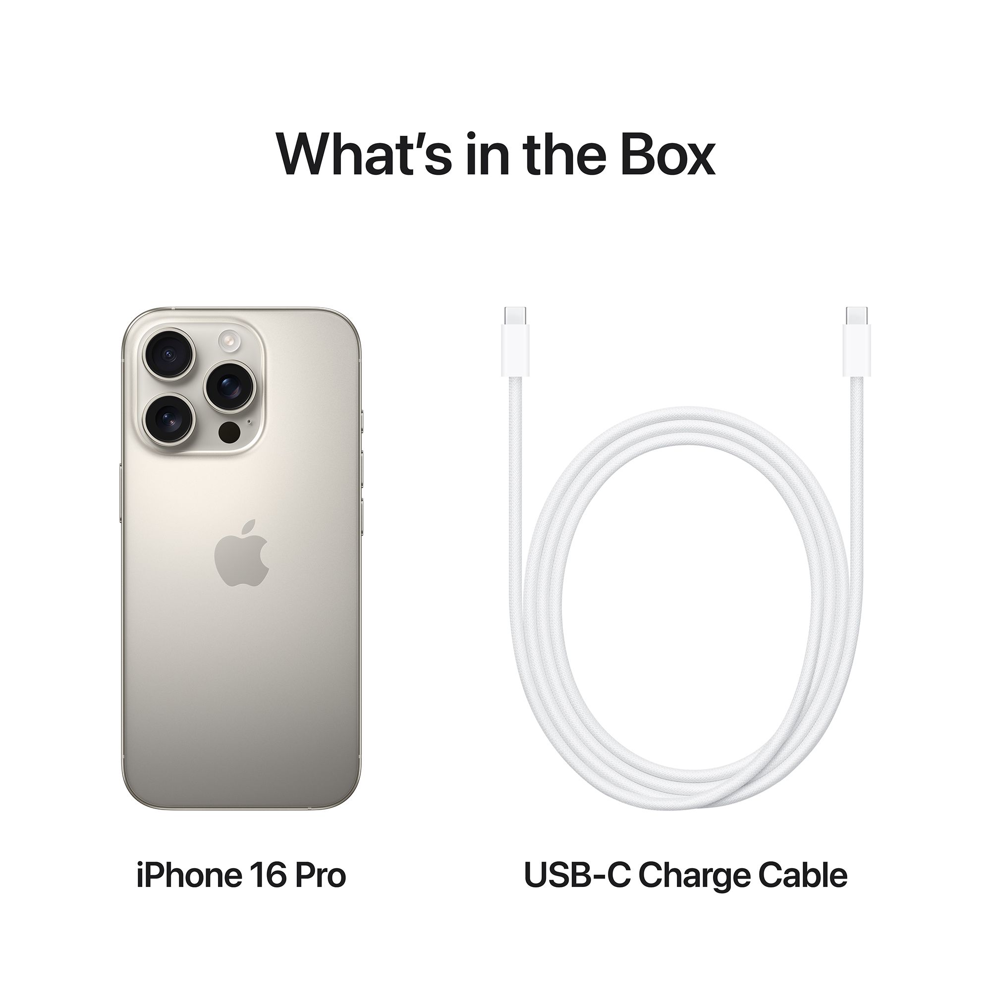 Buy Apple iPhone 16 Pro (1TB, Natural Titanium) Online - Croma